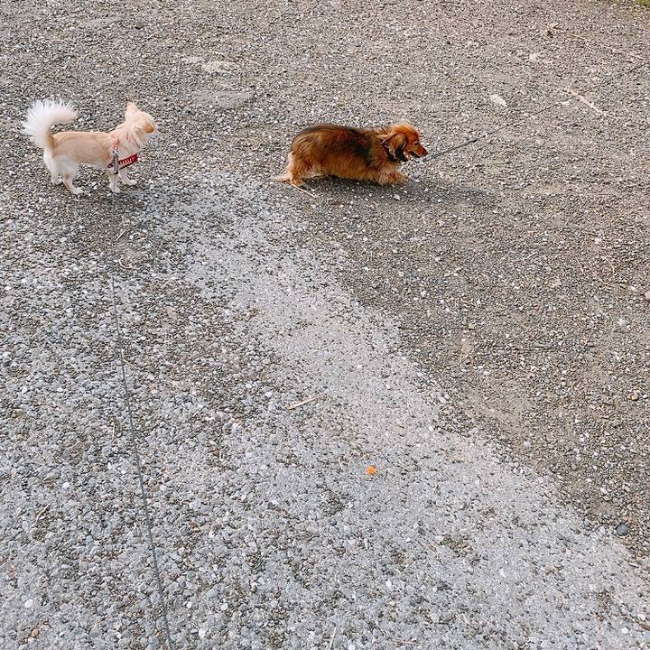 2f7d2d41 db3d 4d8d ba6a d8b9277c8c19 1617095945192