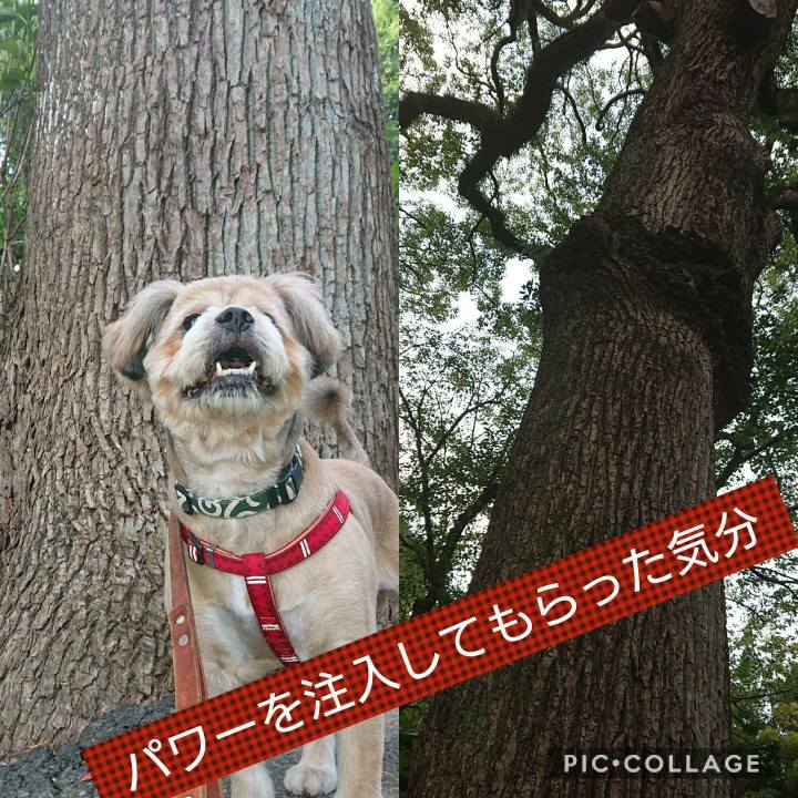 2f7d82e9 e0f7 409c 989c 102cb2646e76 1600765136965