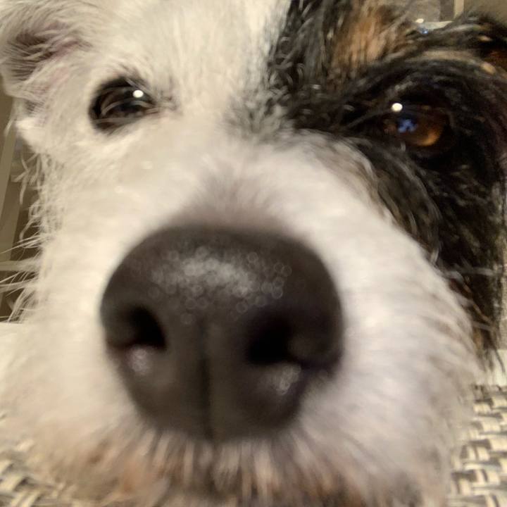 2f7d9f2f 6970 46e8 9b0d 81c45bd3ad3f 1626787301133