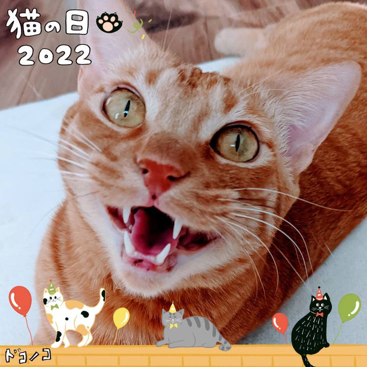 2f7dbd35 0aea 4a1a b037 ba4d31340082 1645520809394