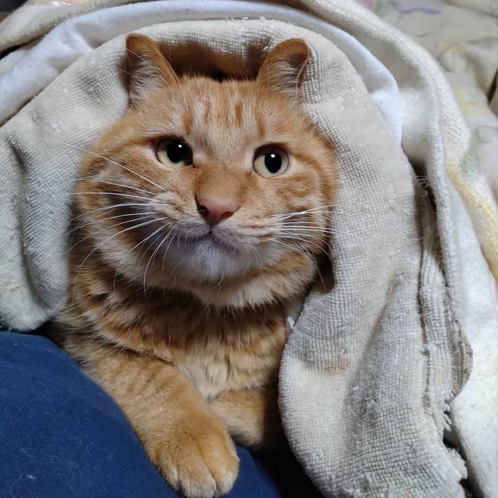 2f7dce19 792d 4b2d 9806 e4b7fef9fa53 1701604678153