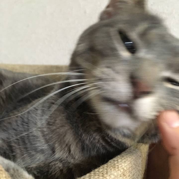 2f7e104d b2fe 42bd b348 f80f3cf11666 1594479009254