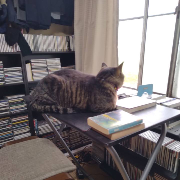 2f7e4060 d68f 4bb6 888f 5b8ba175ba4a 1684739109343