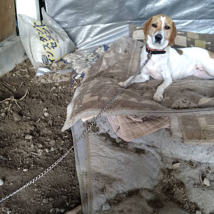 2f7e7498 e29d 463a 98dd 10ea467f4582 1626513363656