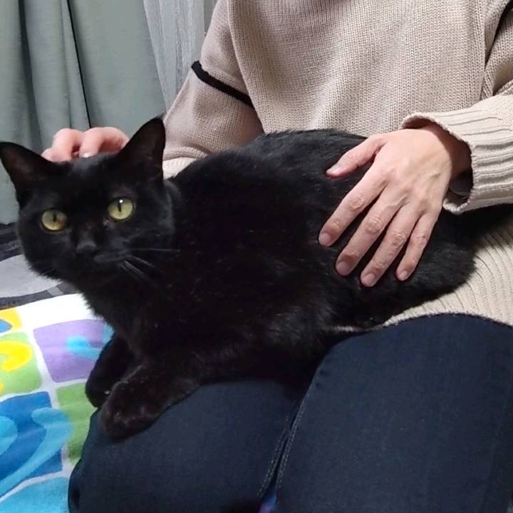 2f7e9419 2ca1 4e4c a42f 675bd05ab83a 1672218906065