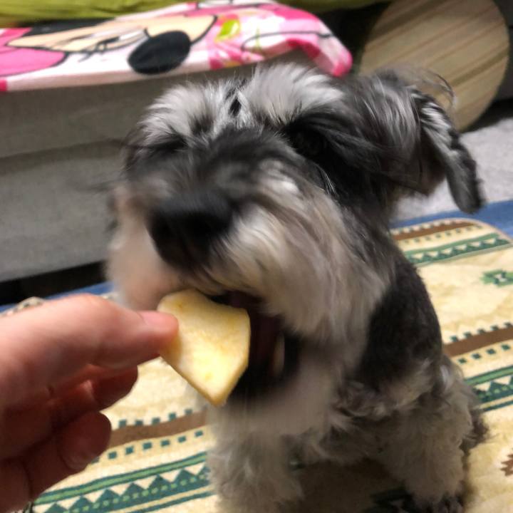 2f7e9d69 b1a5 428a a642 25a5471e60b9 1669813706455