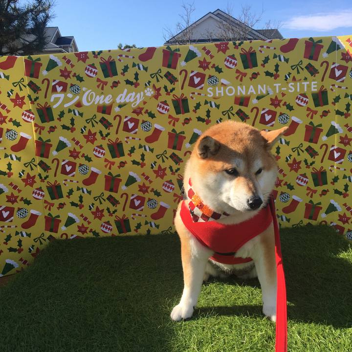 2f7eadde 46a7 4389 9c96 c949b8858f65 1575194998014