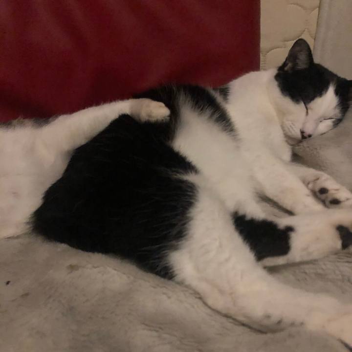 2f7ec8b9 9d10 465f a3ec 06b8c20febfc 1609004623303