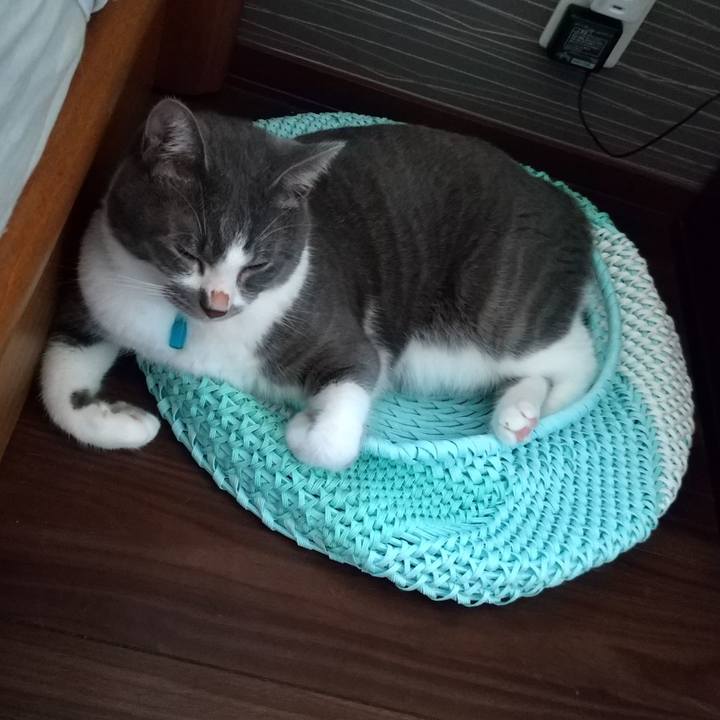 2f7ecd30 9acf 421f bbbf 8a1e7408eeb5 1627422424649