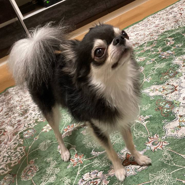 2f7f005d b23d 4165 9035 29c47bd02c12 1663421523025