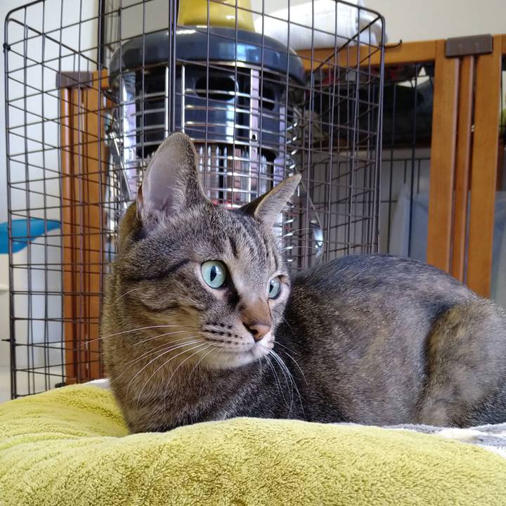 2f7f01da 0c28 4a0a 87e5 909f1b0074b7 1640473037353