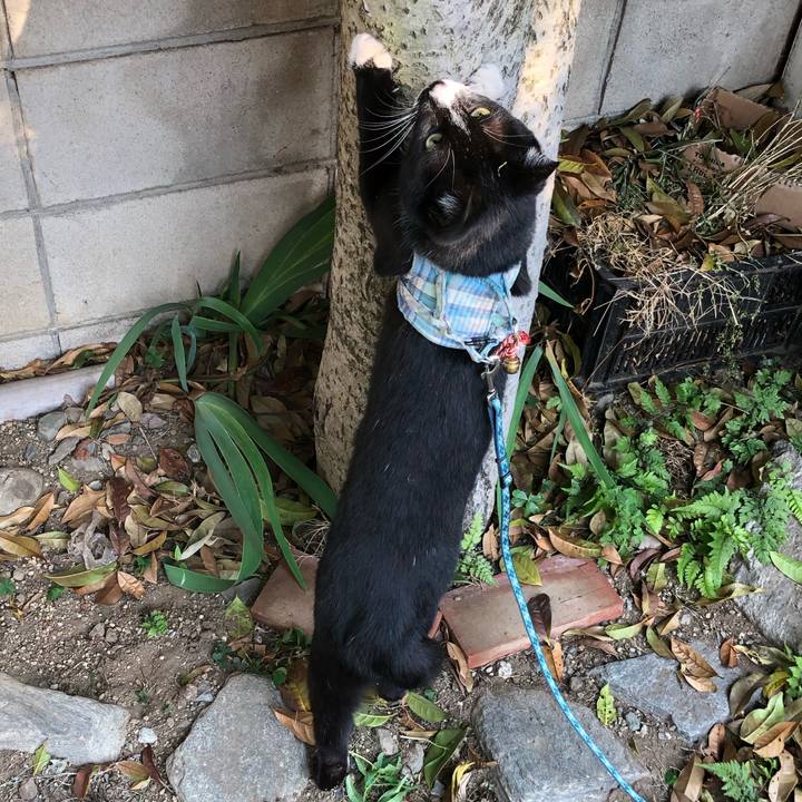 2f7f0578 a40d 4eea b771 c8776b29cde7 1558238187506