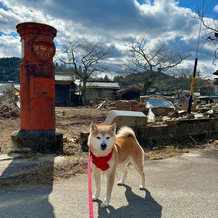 2f7f26cd 99a2 4fe9 9bae de6704526b00 1740308265490