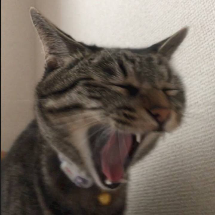 2f7f3078 e743 4ebe 842e ef35f6f7137e 1571732090740