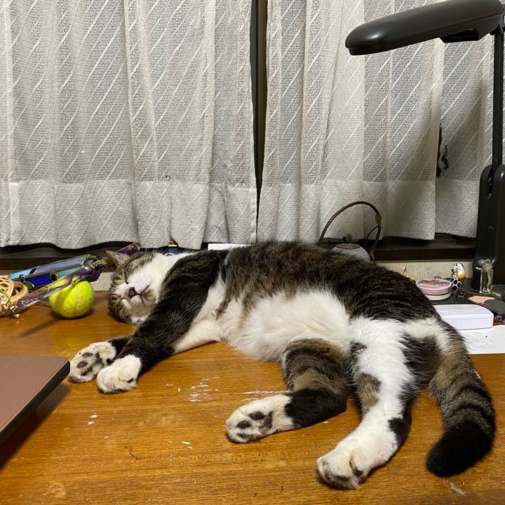 2f7f3519 dcfc 4025 a21d a4e52a984c4c 1596276365465