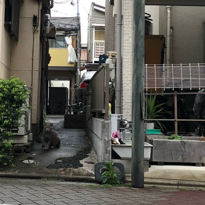 2f7f7a45 47b9 4d0e 8c4d d6ae49e01bbf 1524599166948