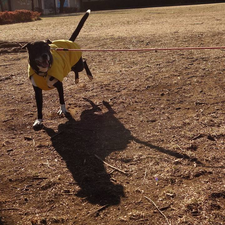 2f7f8363 7984 4c0e 963b 47731012dc63 1740443889791