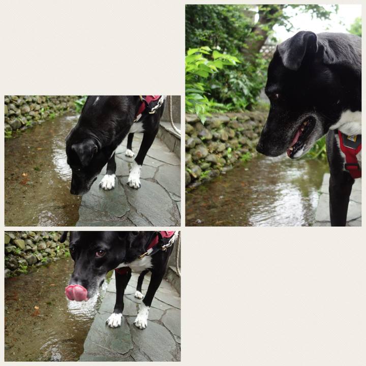 2f7f95f0 3ac8 4efa a841 812e3ca1fb55 1686703300499