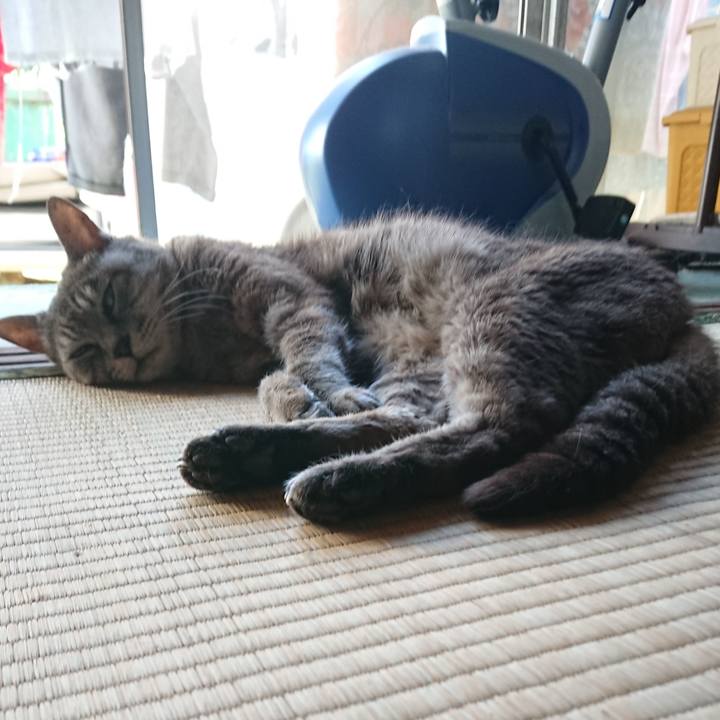 2f7fae32 c1b7 4978 928b 3adfc1a6d970 1567925466717