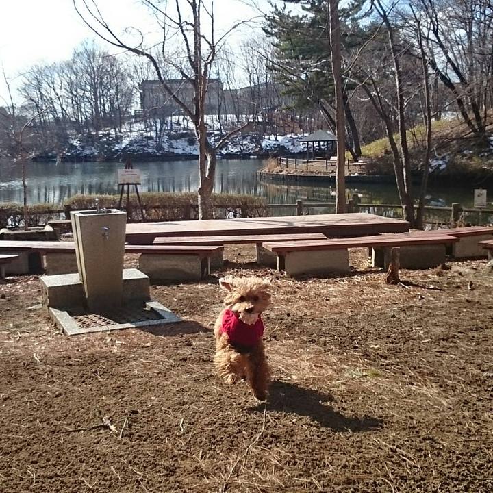 2f7fc47b 8891 4335 83f2 05bf19d950ee 1519348667329