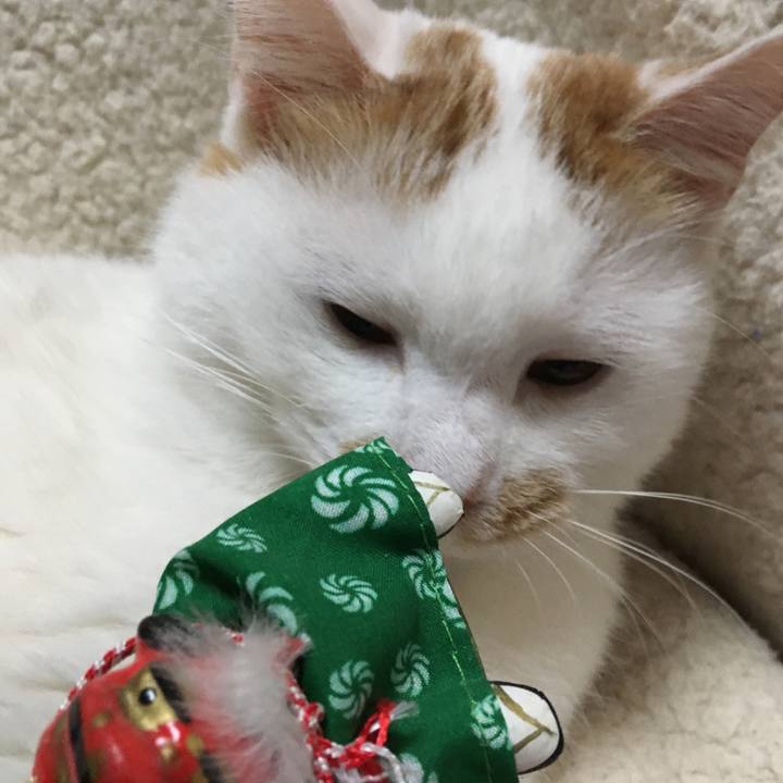 2f7ff512 115e 4154 8019 632b5522744b 1514876198299