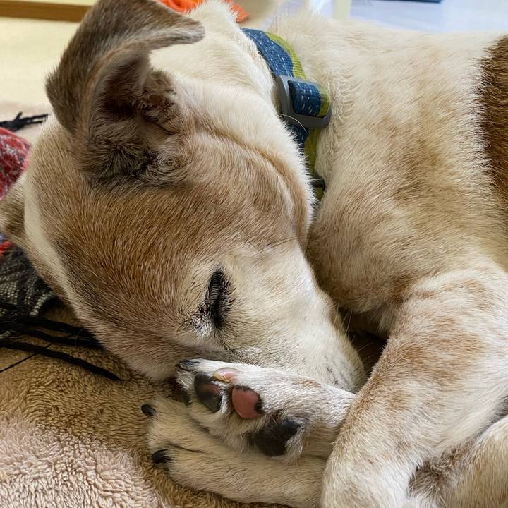 2f80078f 137d 4e79 b058 4fdeba02251b 1678020843179