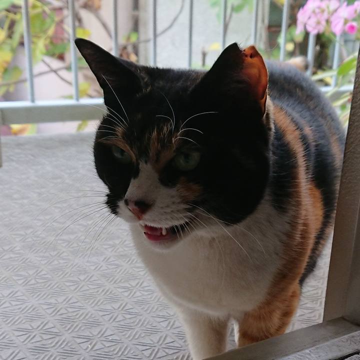 2f801959 51d7 4c69 b54b 6a64136e33e1 1543724595535