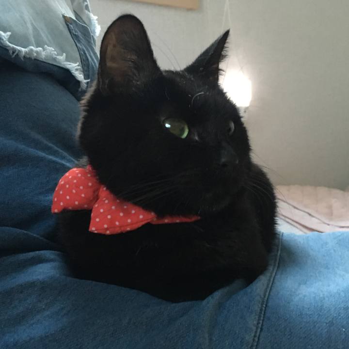 2f807330 1117 40a5 9e8c a507a909f0fc 1551993805671