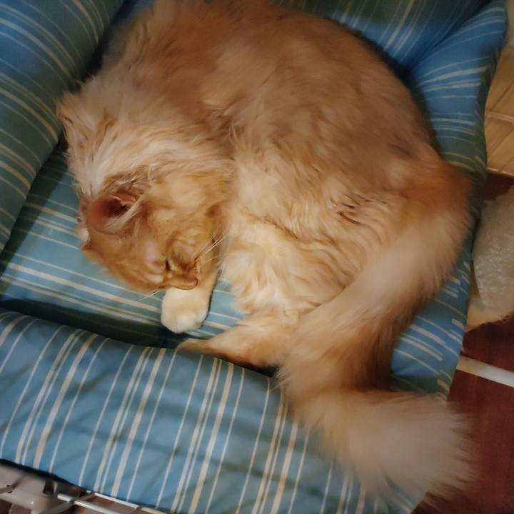 2f8074a9 dc2d 44fc 9dff 7761dbf6c1c2 1682330908946