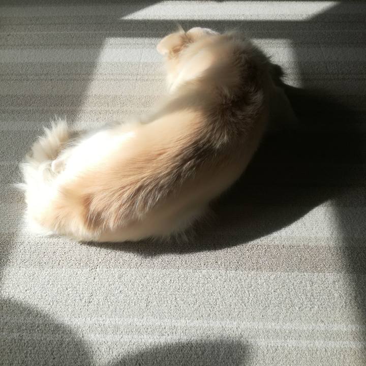 2f808f2a 77be 425c a755 0bd29e1cb7b7 1508892913283