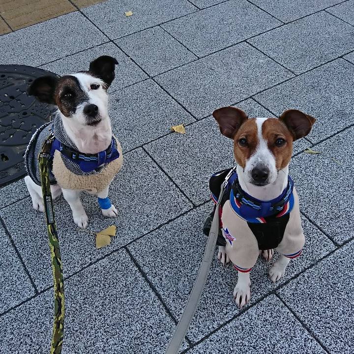 2f80ae94 1fbe 46e2 914c b2556a14ac17 1546212404805