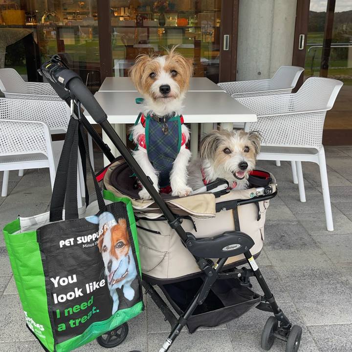 2f80b989 d5dd 4487 9746 904920108107 1759214267049