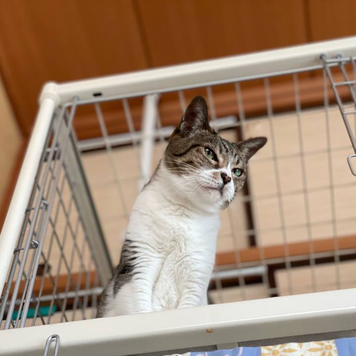 2f80c723 9e09 4178 b7cf 65e7eb3e5354 1639880141793