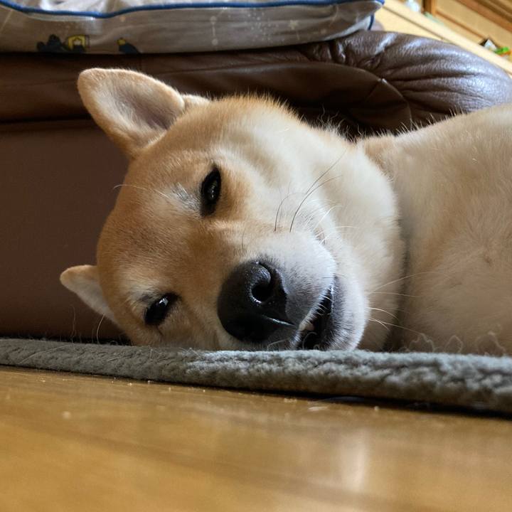 2f80dffb 02c0 456b 9150 12c7f8a1ac04 1646355085031