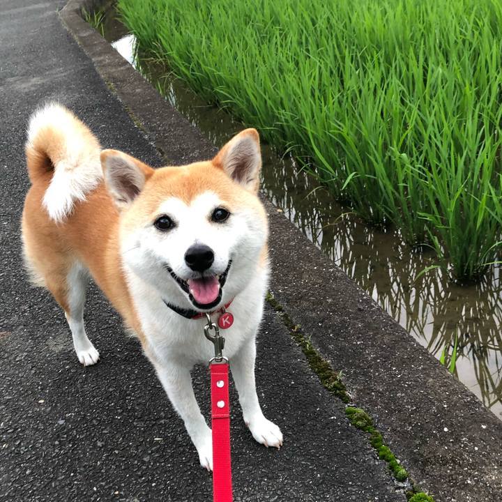 2f810192 cb62 437e a93b dd6d1fa75d2c 1595378067028