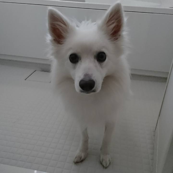 2f8148d3 098c 402e b2d9 eeeedd6c9957 1522906367426