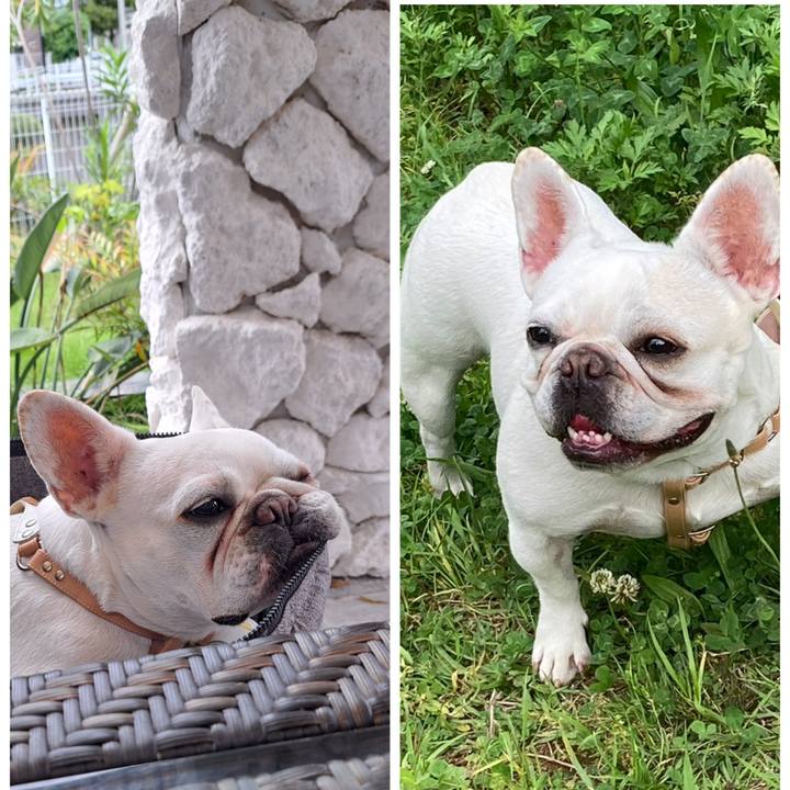 2f817565 44ad 4a63 bc78 8bb95e116429 1714988190295