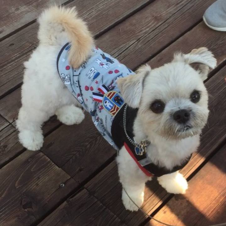 2f81758b 9cf6 4c86 845b 7d5267aa60a4 1511873154871