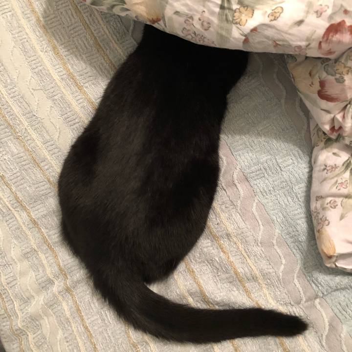 2f819b38 23e0 476c 8fb5 aa6c91fa6e9f 1526679423246