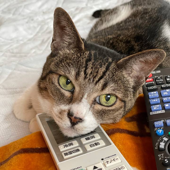 2f81a8fa 3fa7 4d40 a784 c14b34782c6f 1631583641747