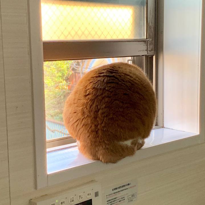 2f81cc57 ab74 4176 8a1c 1bde34a9757a 1582722607877