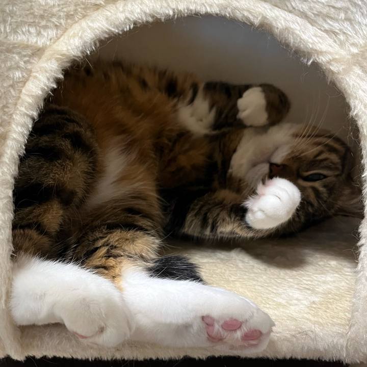 2f824a39 fe4c 4171 954e 6799703295be 1738718370480