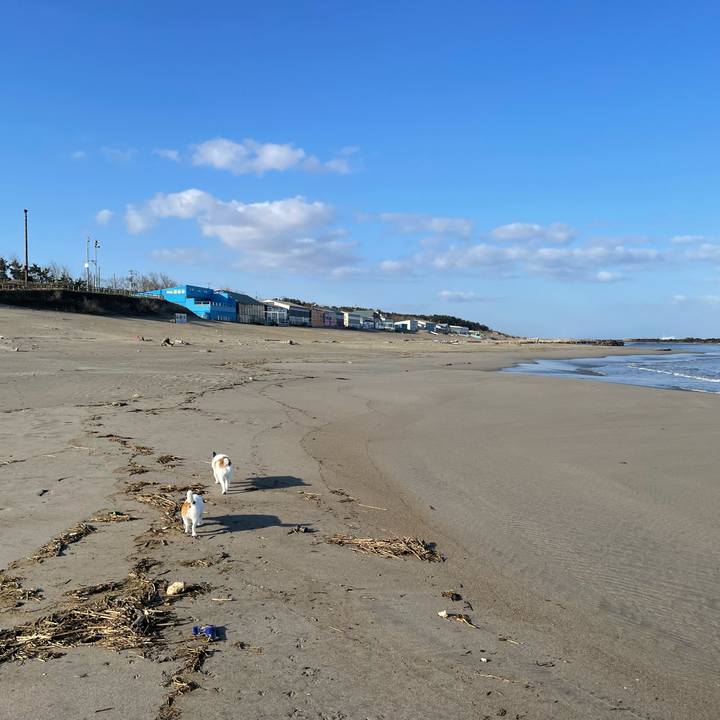 2f825c9a 88aa 49e3 8561 63352476b17c 1712705934785