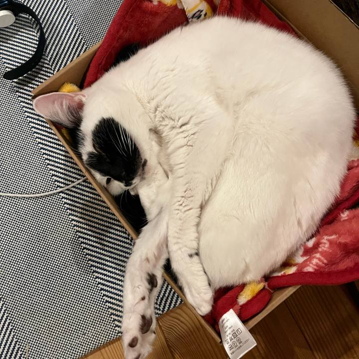 2f82abc8 70d0 4544 b6c4 5260be1f861b 1761407319867