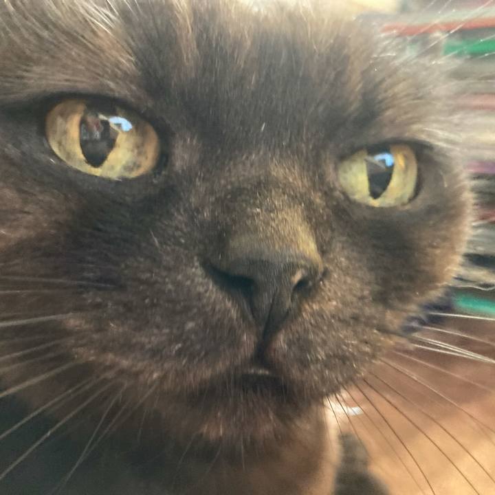 2f82ac44 b47b 408b a709 a2af5f688b8e 1613808175599