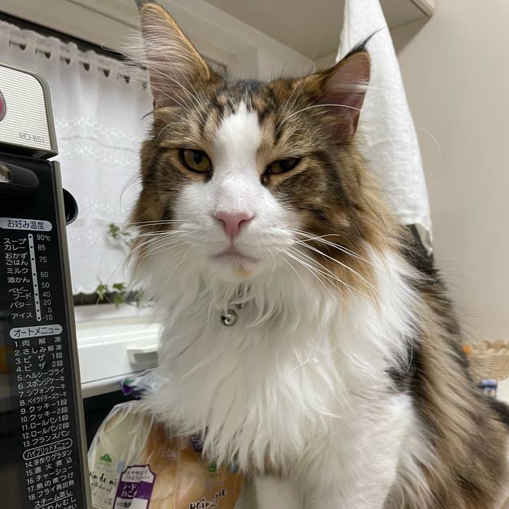 2f82b907 fc4b 45f9 a9f0 fade3d275946 1647164614810