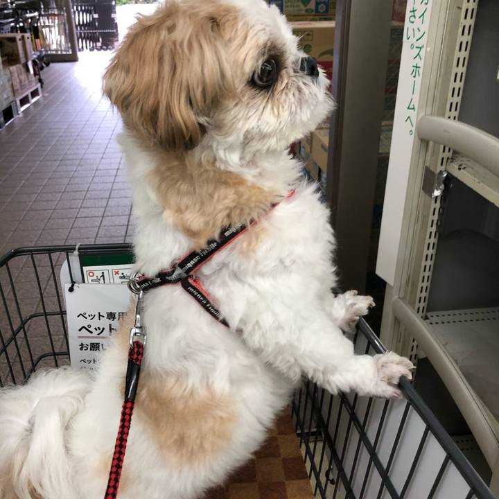 2f82f556 959d 433f b608 fdb9fc7e7349 1602107357266