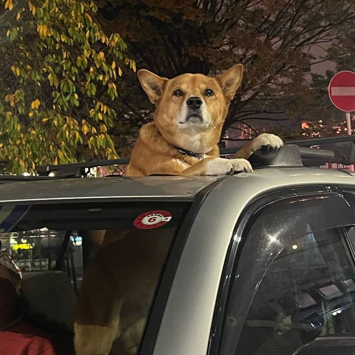 2f836215 4cfe 4134 a4c8 550dc6872c56 1699586204996