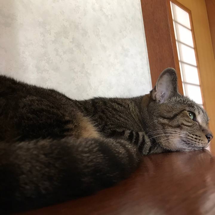 2f837255 66ac 4cf9 8055 949d410e0e86 1536802309087