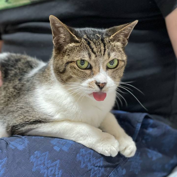 2f83a1cd 7594 4202 9065 21d7067bb57f 1655427396545